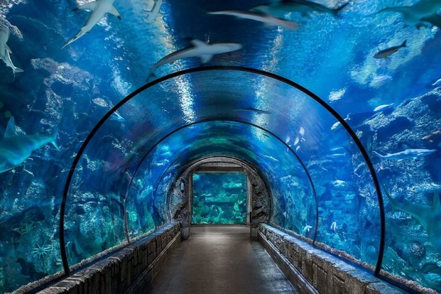 Hurghada Grand Aquarium-tickets-transfer