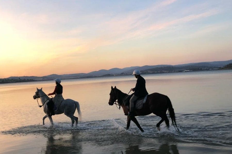 Horse Riding in the sea